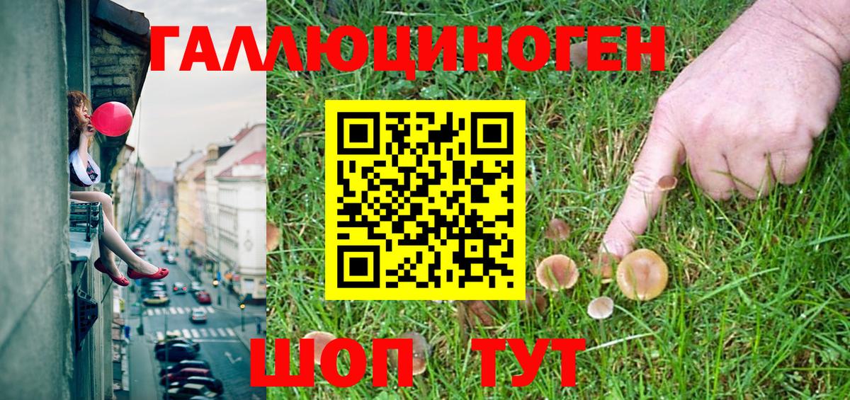 Кимры  Галлюциногенные грибы Magic Shrooms  Вход с VPN 