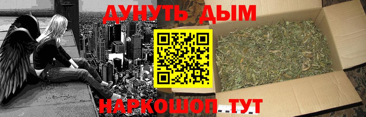 Кимры  Каннабис сатива  МАРИХУАНА THC 21%  Марихуана планчик  МАРИХУАНА VHQ  Вход с VPN 